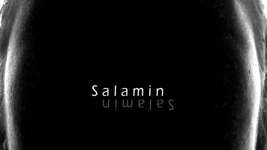 Salamin