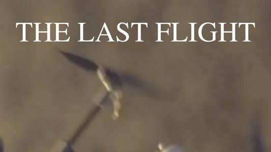 Image The Last Flight