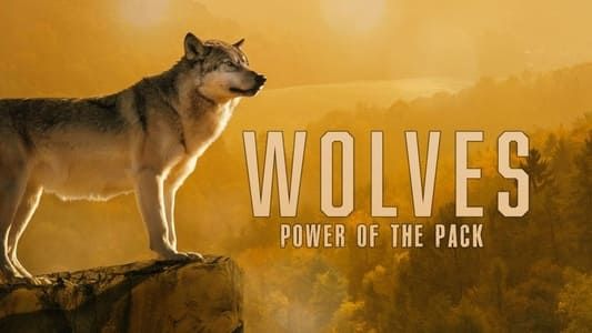 Image Wolves: Power of the Pack