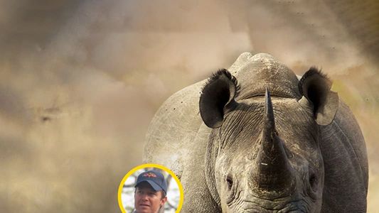 Chasing Rhinos with Billy Bush