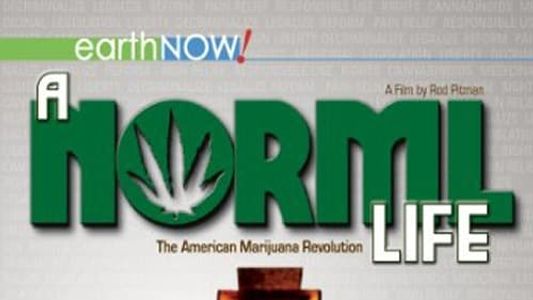 Image A Norml Life