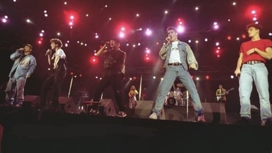 Image New Kids on the Block: Rock in Rio