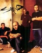 Image Staind