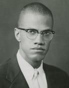 Malcolm X series tv