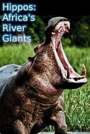 Image Hippopotames les architectes de l'Okavango