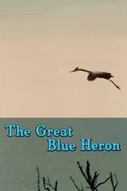The Great Blue Heron-hd