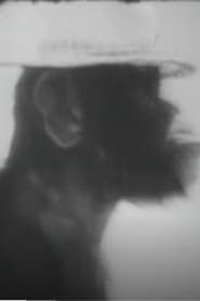 Chimp's Jamboree series tv