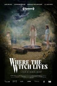 Image Where the Witch Lives