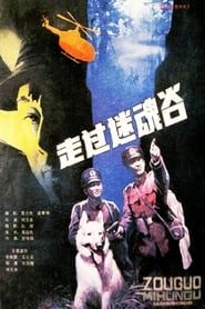 走过迷魂谷 (1987)