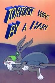 Tortoise Wins by a Hare series tv