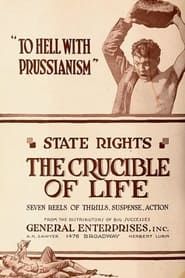 The Crucible of Life series tv