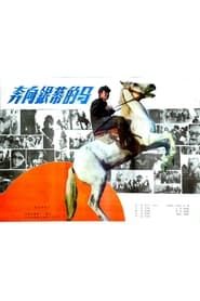 A Horse Galloping Toward Screen (1984)