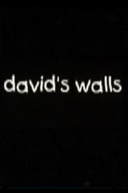 David's Walls (2001)