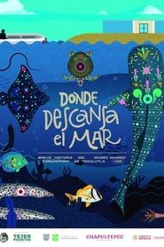 Donde descansa el mar: Breve historia del Museo Marino Comunitario de Tecolutla series tv
