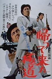 Return of the Outlaw (1968)