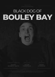 Black Dog of Bouley Bay series tv
