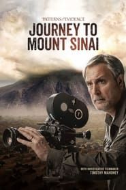 Image Patterns of Evidence: Journey to Mount Sinai