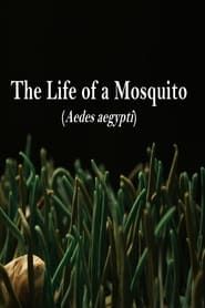 The Life of a Mosquito series tv