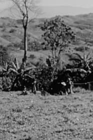 Haiti (1957)