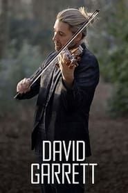Image David Garrett, star du violon