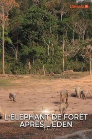 L' éléphant de forêt après l'éden series tv