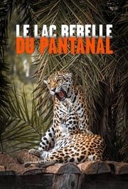 The Pantanal's Rebel Lake series tv