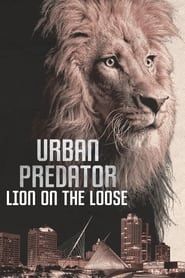 Image Urban Predator: Lion on the Loose