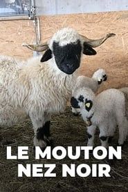 Image Moutons blancs Nez noirs - Les chouchous du Valais