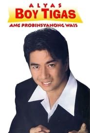 Alyas Boy Tigas: Ang probinsyanong wais series tv