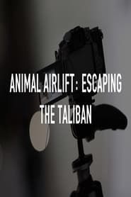 Image Animal Airlift: Escaping the Taliban