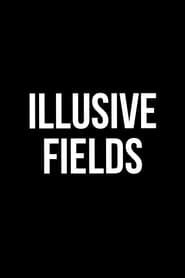 Illusive Fields (2012)