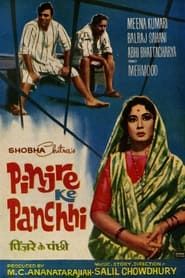 Pinjre Ke Panchhi series tv