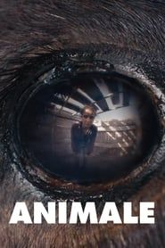 Animale (2024)