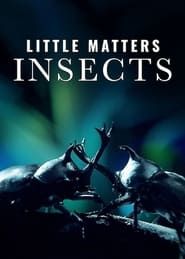 Little Matters: Insects series tv