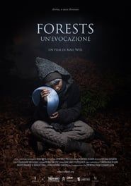 Forests - Un'evocazione series tv
