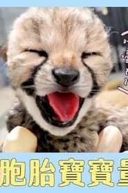 超Q萌！日本動物寶寶大集合～難得一見！獵豹6胞胎寶寶量體重囉 series tv