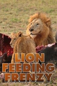 Image Lion Feeding Frenzy