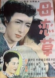 母恋草 (1951)