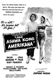 Ang Asawa Kong Americana series tv