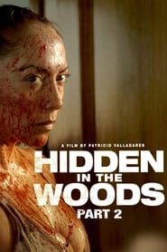 Hidden in the Woods 2 series tv