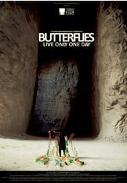 Image Butterflies Live Only One Day