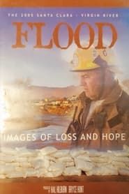 Image The 2005 Santa Clara Virgin River Flood - Images of Loss and Hope
