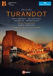 Giacomo Puccini, Turandot series tv