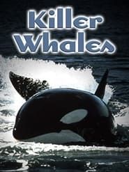 Killer Whales: Up Close and Personal series tv