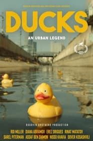 Ducks, an Urban Legend-hd
