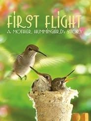 First Flight: A Mother Hummingbird