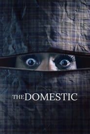 The Domestic series tv