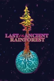 Last of the Ancient Rainforest series tv