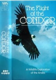 Image The Flight of the Condor