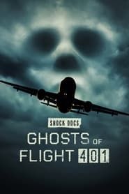 Ghosts of Flight 401 2022 streaming
